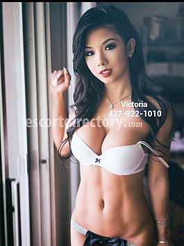 homosexuell big tits escort tranny escorts homosexuell big tits escort tranny escorts