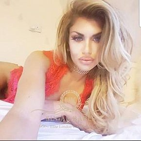 Cami Modelo/exmodelo
 escort in London offers Mamada sin condón
 services
