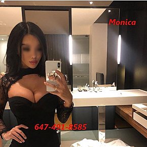 Monica escort in Toronto offers 69 Position services