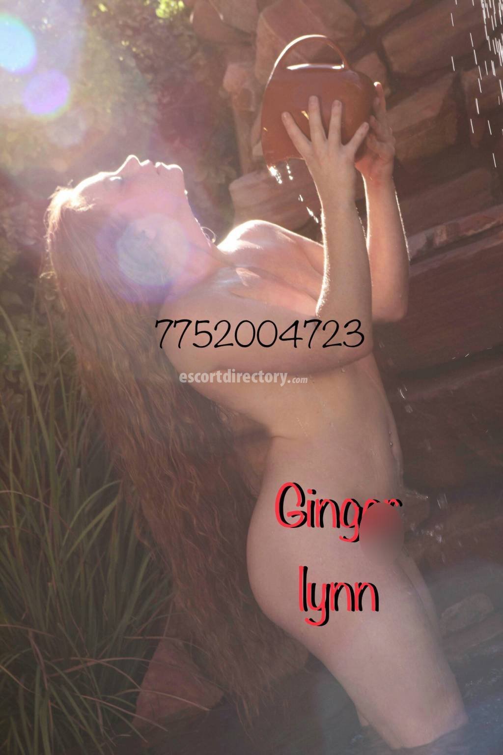 Ginger Lynn Escort