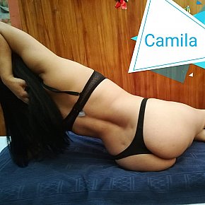 Bliss-Spa escort in Quito offers Dildo/sex toys services