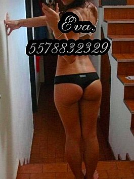 Tijuana Escort Agency