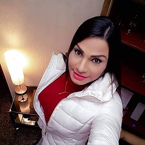 Angelina BBW escort in 