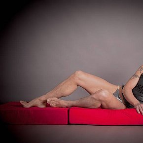 David escort in Antwerpen offers Erotic massage services