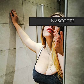 Laura escort in Basel offers Massage érotique services