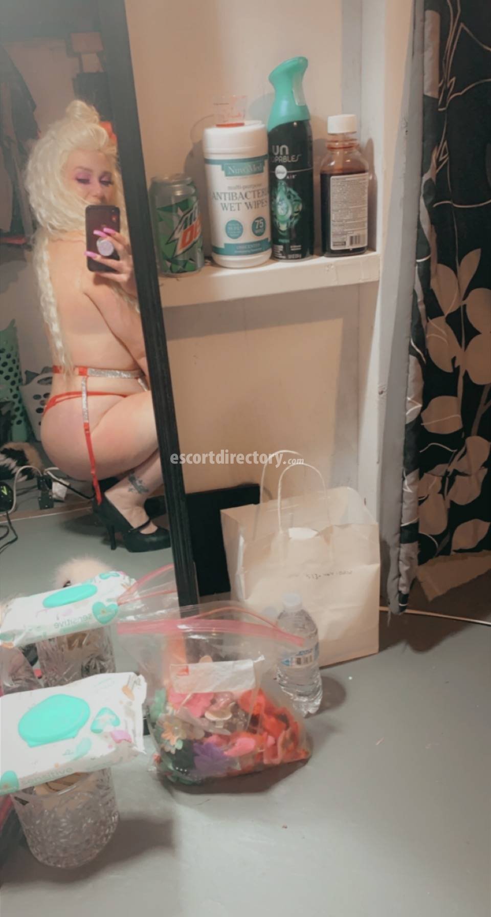 Escort Natasha Westbrook, hot girl in Dayton OH