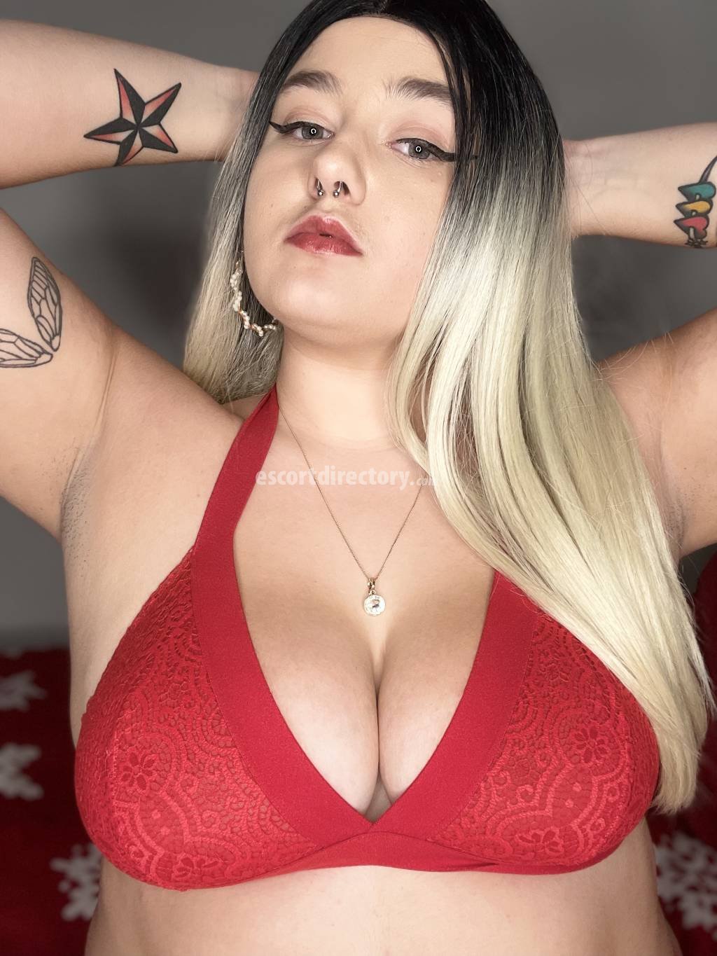 Ts escorts in syracuse ny
