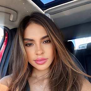 Andy Modelo/exmodelo
 escort in Playa del Carmen