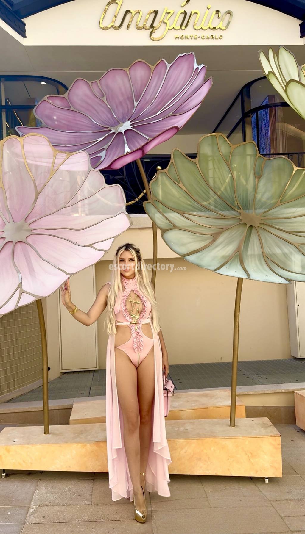 Vika-Monaco Étudiante escort in Monaco-Ville offers Fessée (receveur) services