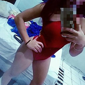 Nia escort in São Paulo offers Blowjob without Condom to Completion services