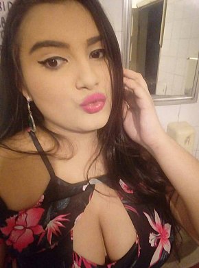 Dudinha-Acompanhante BBW escort in Joinville offers Embrasser services