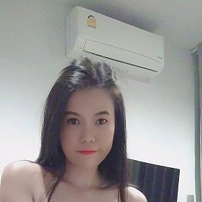 Sofai escort in Bangkok offers Dildo/sex toys services