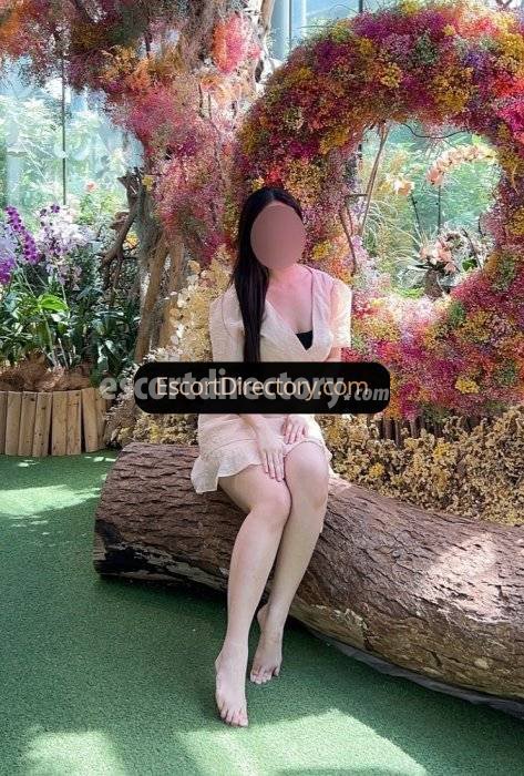 Malena-Miu Vip Escort escort in Singapore City offers Anal Sex services