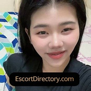 Panda Super-forte Di Seno escort in Muscat offers Esperienza Pornostar services