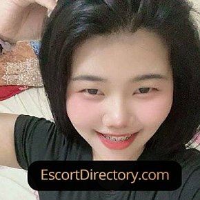Panda Super-forte Di Seno escort in Muscat offers Esperienza Pornostar services