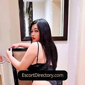 Maya escort in Doha offers Blowjob without Condom services
