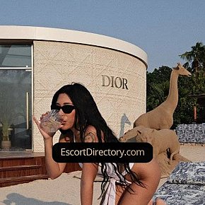 Jess Vip Escort escort in Doha offers Titjob services