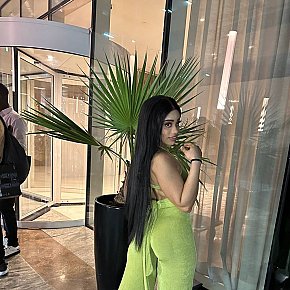 Sophia-Kings escort in Dubai offers Branlette espagnole services