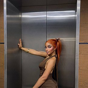 Sophia-Kings escort in Dubai offers Beijar services