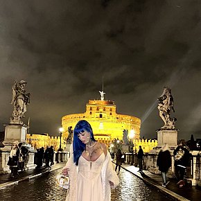 Kat escort in Vienna