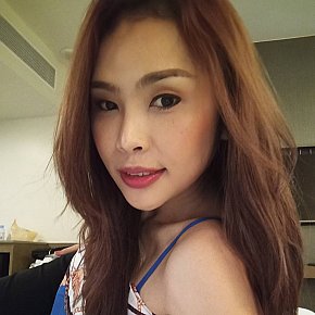 Gina escort in Bangkok offers Ball Licking and Sucking services