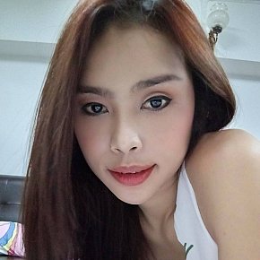 Gina escort in Bangkok offers Ball Licking and Sucking services
