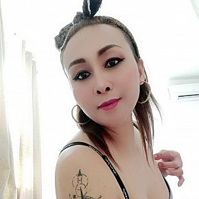 Sunny escort in  offers Sexo anal services