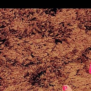 Queen-69 Super Gros Cul escort in Kuwait City offers Position 69 services