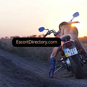 Dinara Vip Escort escort in  offers Lécher l'anus (actif) services