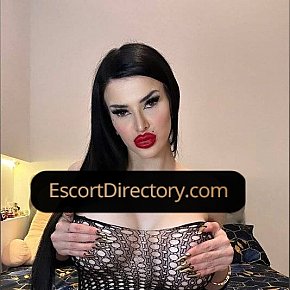 Sara Vip Escort escort in Belgrade offers Golden Shower (give) services