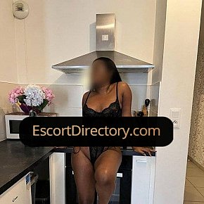 Dany Vip Escort escort in Brussels offers Blowjob without Condom services