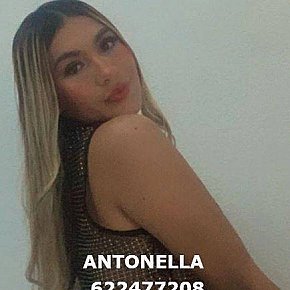 ANTONELLA escort in Tenerife