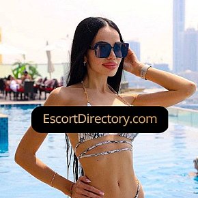 Milana Vip Escort escort in Prague offers Blowjob without Condom services