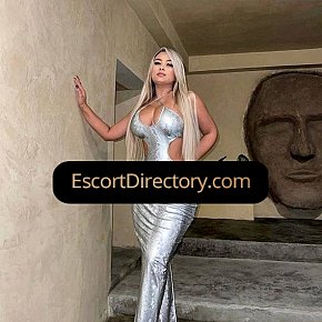 Valery Vip Escort escort in Vienna offers Sex in Different Positions services