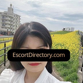 Elyza Vip Escort escort in Berlin offers Sesso Anale services