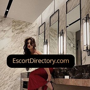 Karina Vip Escort escort in Dubai offers Sborrata in bocca services