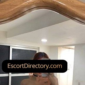 Oma Vip Escort escort in  offers Sexe anal services