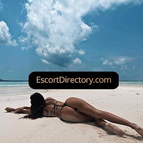 Ivy Vip Escort escort in  offers Massagem erótica services