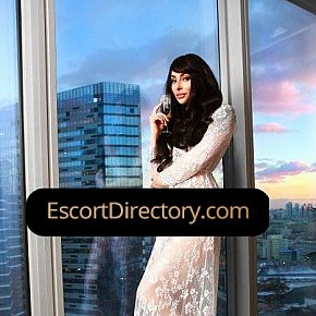 Nelli Vip Escort escort in Luxembourg offers Sex in Different Positions services