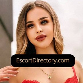 Alice Vip Escort escort in Brussels offers 69 Position services
