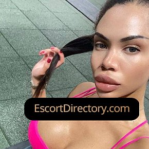 Tiffany Vip Escort escort in  offers Blowjob ohne Kondom services