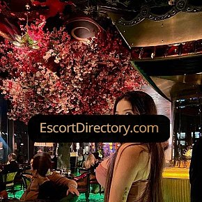 Sofi Vip Escort escort in Munich offers Cumshot on body (COB) services