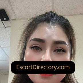 Anh escort in Muscat offers Dildo Play/Toys services