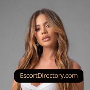 Tammy Vip Escort escort in Amsterdam offers 69 Position services