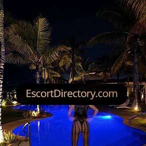 Zoe escort in São Paulo offers In den Mund spritzen services