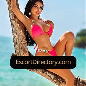 Leila Vip Escort escort in Dubai offers Feticismo Piedi services