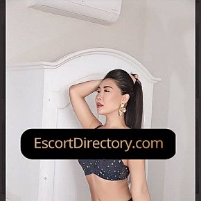 Daliya Vip Escort escort in Stockholm offers 69 Position services