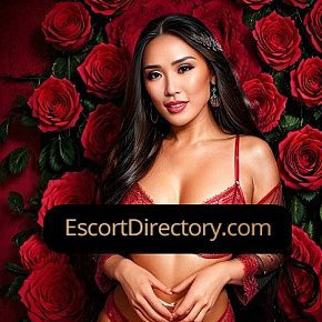 Daliya Vip Escort escort in Stockholm offers 69 Position services