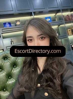Angela escort in  offers Venida en el cuerpo (COB)
 services