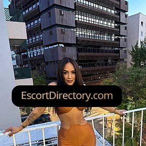 Valeria Vip Escort escort in 